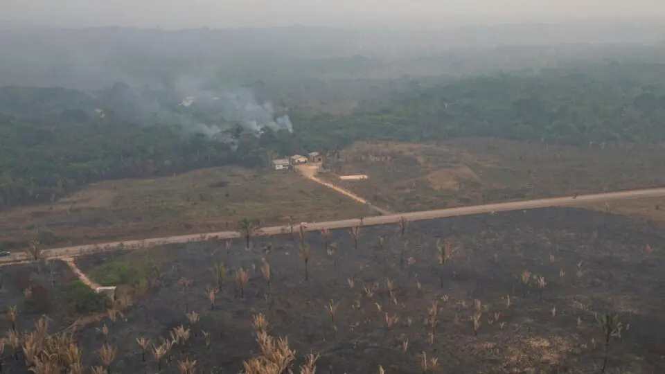 Incêndios florestais