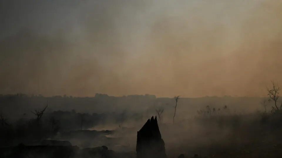 Incêndio no Parque Nacional de Brasília no dia 4 de setembro