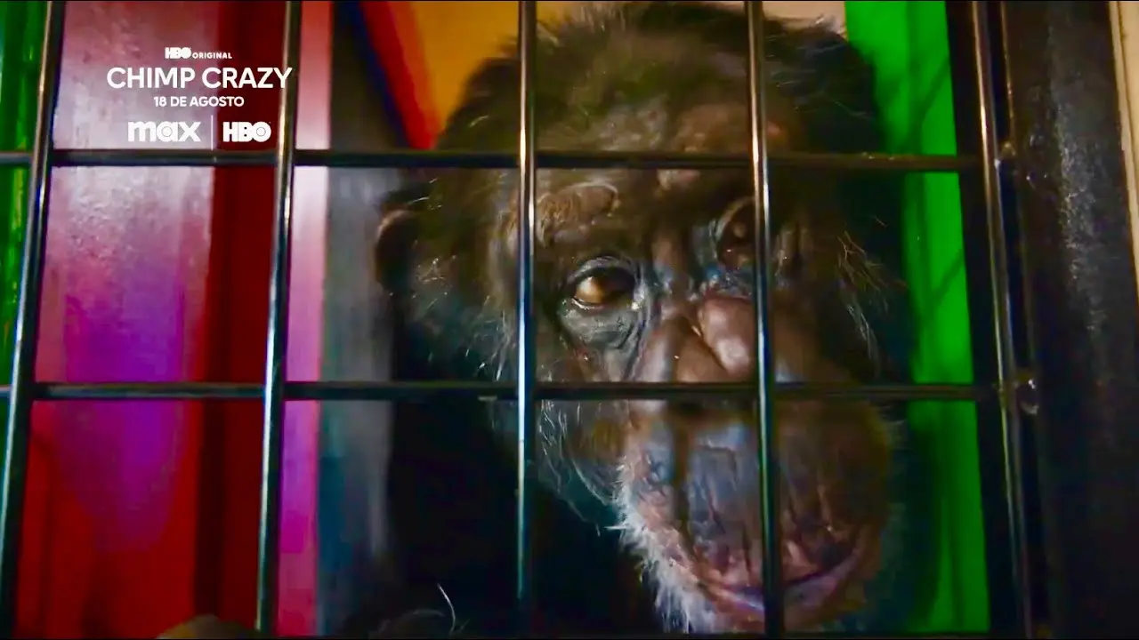 O documentário revela a condição precária em que os chimapanzés de Tonia viviam