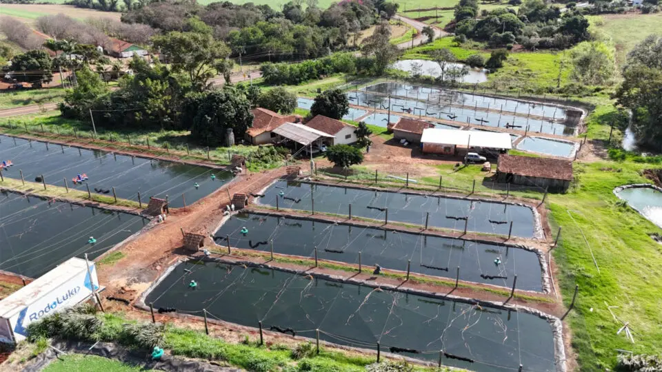 Durante os dias 24, 25 e 26 de setembro, a Cresol estará presente no VI International Fish Congress & Fish Expo Brasil (IFC Brasil 2024), na cidade de Foz do Iguaçu (PR)
