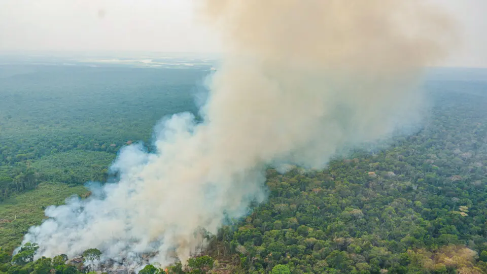 Queimadas afetam Amazônia, mas recursos do Fundo Amazônia demoram a chegar para o combate
