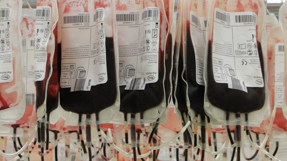 Testemunhas de Jeová podem recusar transfusão de sangue, diz STF