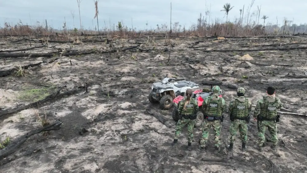 Operação contra queimadas