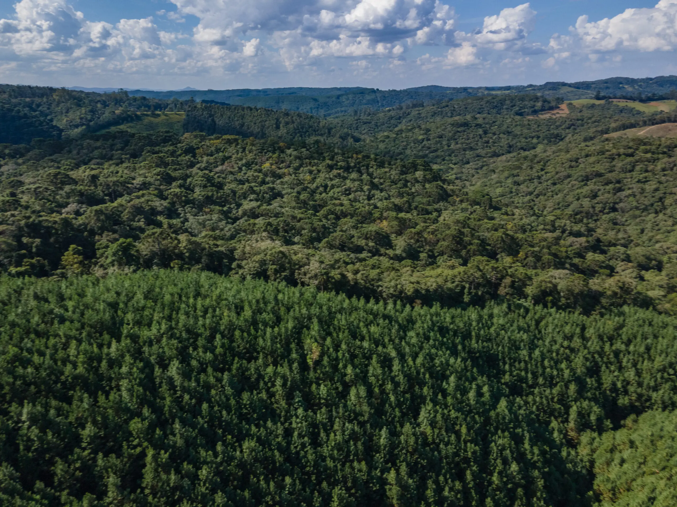 Novas tecnologias contribuem para coibir focos de incêndios florestais.