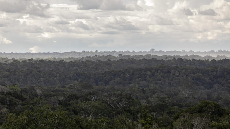 Pesquisa para a Prefeitura de Curitiba é divulgada pela Quaest