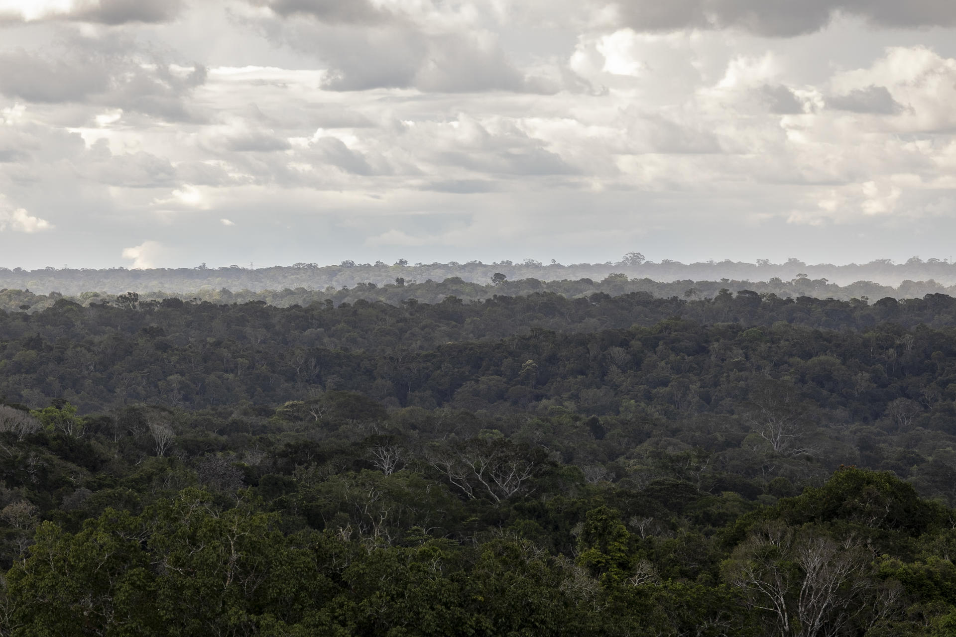 Produtores rurais da Amazônia se unem para enfrentar pressão ambiental.