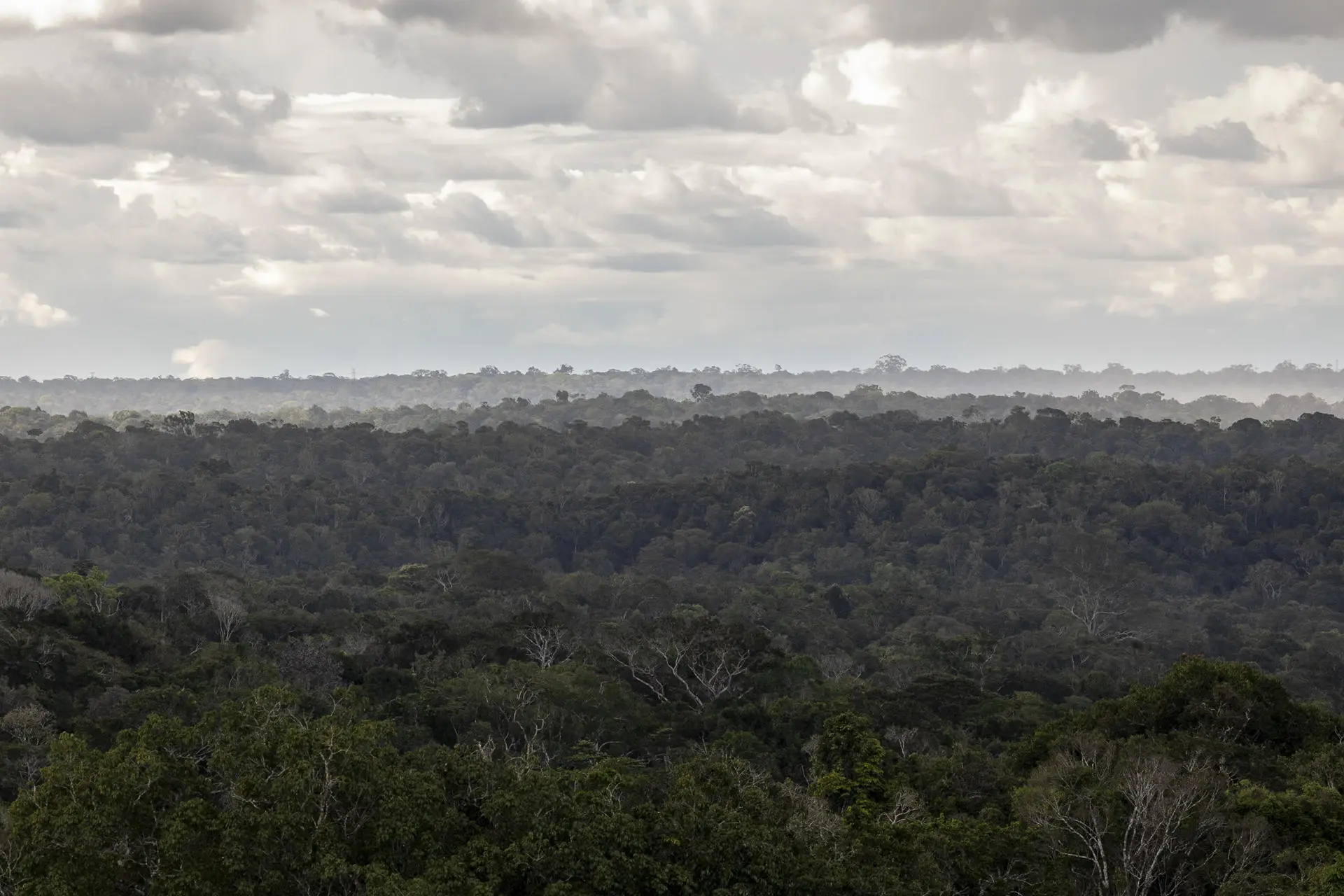 Produtores rurais da Amazônia se unem para enfrentar pressão ambiental.