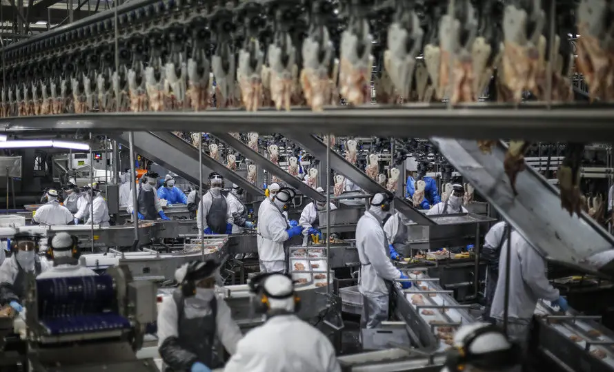 Oeste do Paraná quer ser referência mundial na produção de proteína animal. Reportagem sobre tema ganhou o 9.º Prêmio Sistema Fiep de Jornalismo.