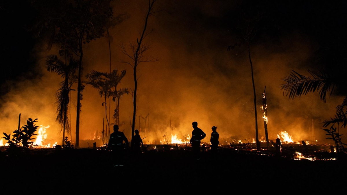 Chamas devastaram 106 mil km² principalmente de mata nativa no país em setembro, 88% mais do que em agosto.