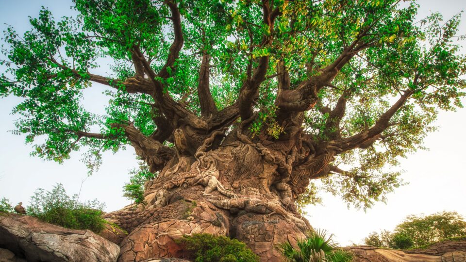 Símbolo do Animal Kingdom Park, Tree of Life tem mais de 300 animais esculpidos em seus troncos e raízes