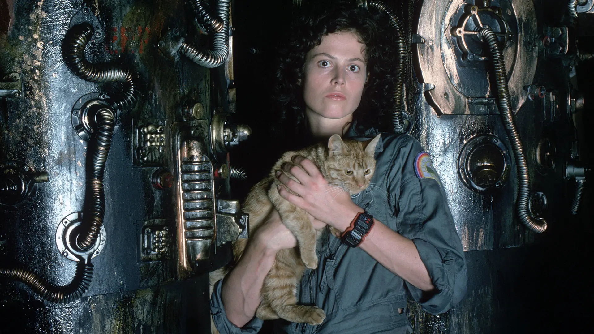 Ripley, a tripulante da nave espacial Nostromo, segura o gato Jones