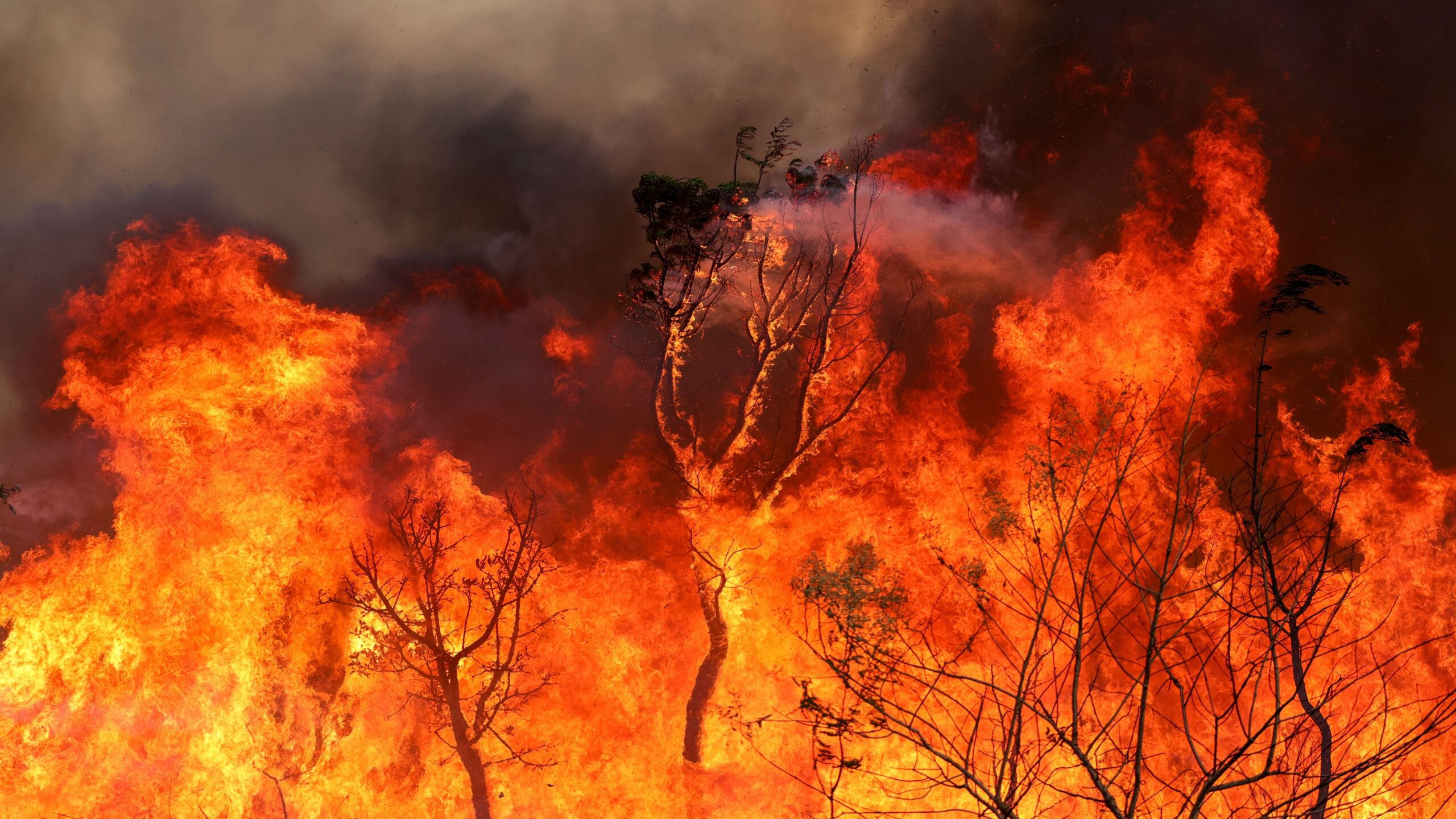 Incêndio no Parque Nacional de Brasilia em setembro: combinação de queimadas e tempo seco vão influenciar na inflação dos próximos meses.