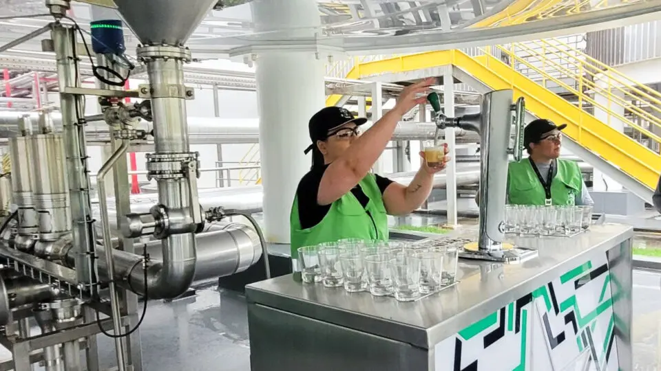 Como é produzida a cerveja Heineken na fábrica de Ponta Grossa