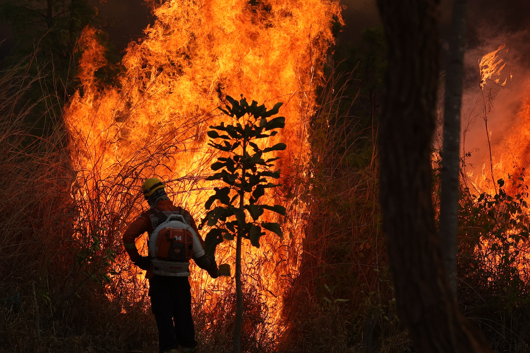 Ministro Flávio Dino suspendeu decisões em ações que tratavam do combate a queimadas.