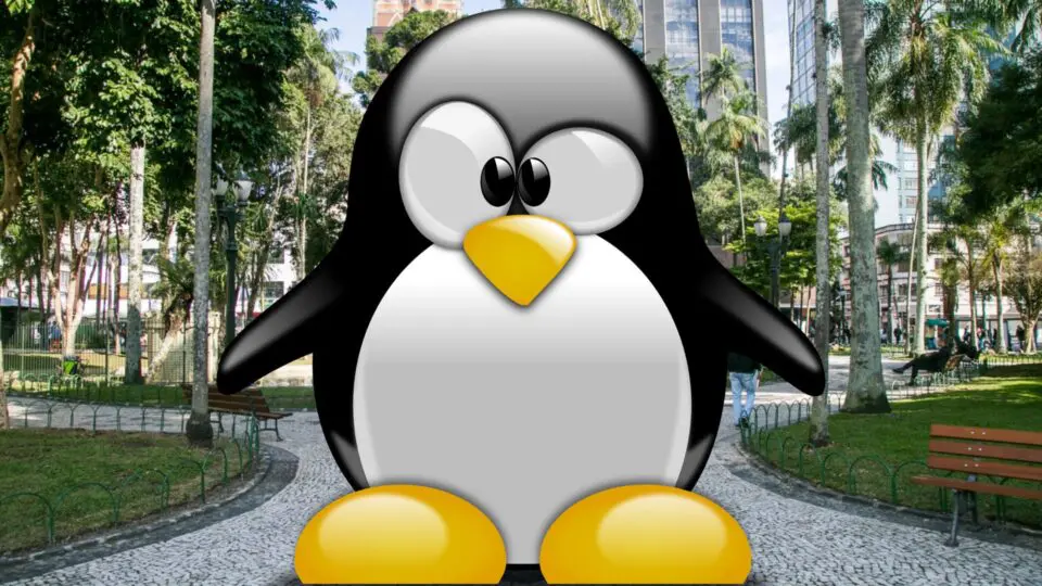 PINGUIM ESPERANÇA CONVERSA