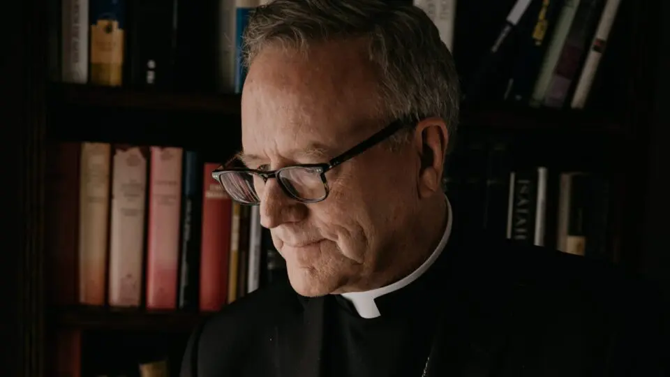 Bispo Robert Barron: influência na internet
