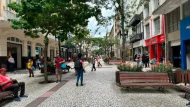 A ACP conta com o serviço de Inteligência de Mercado, oferecendo informações que permitem definir ações de produção, venda e marketing mais eficientes.