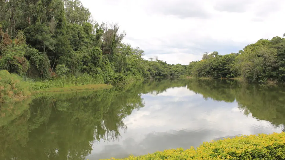 Barragem em Belo Horizonte sofre rompimento devido às fortes chuvas nesta quarta-feira (13).