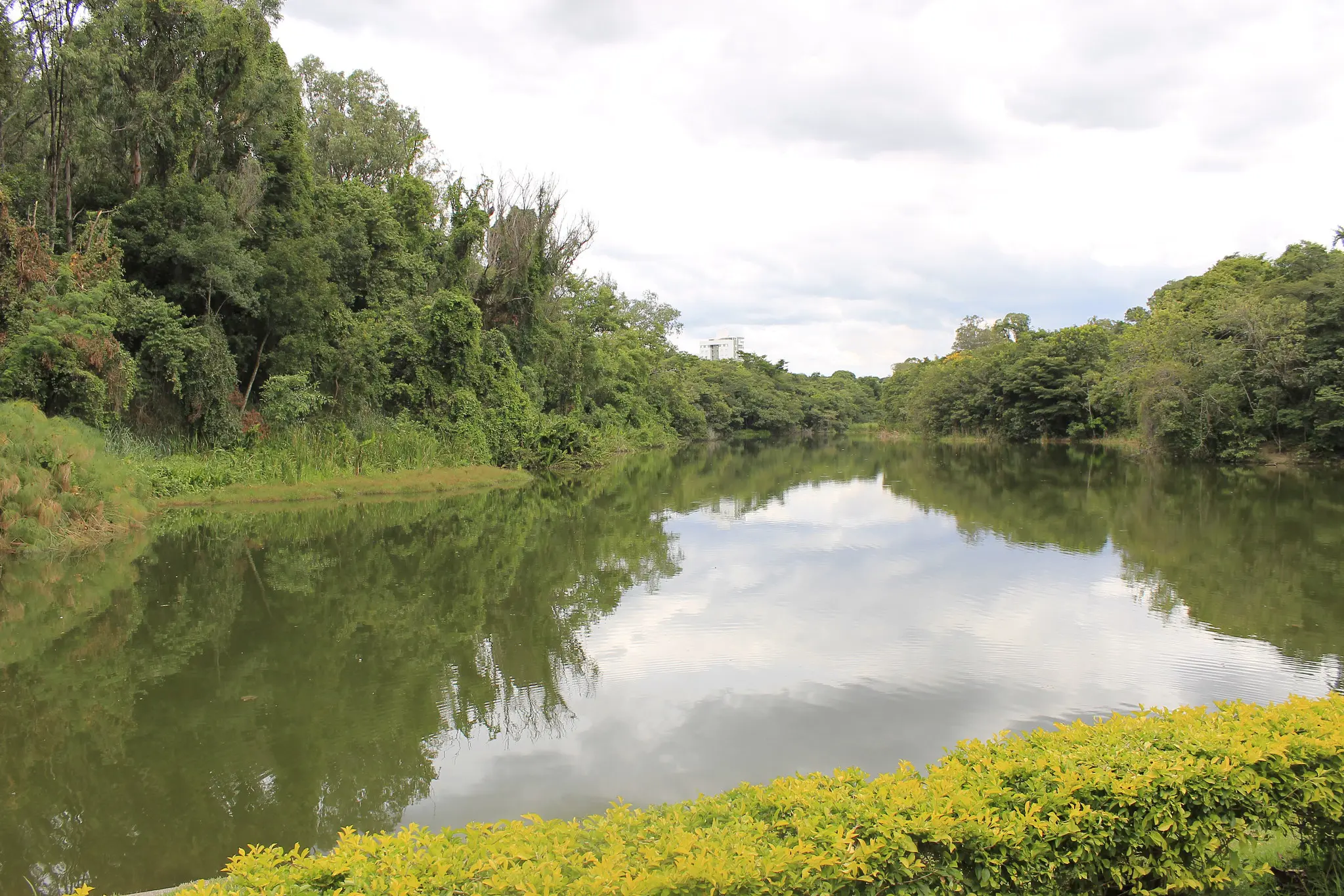Barragem em Belo Horizonte sofre rompimento devido às fortes chuvas nesta quarta-feira (13).