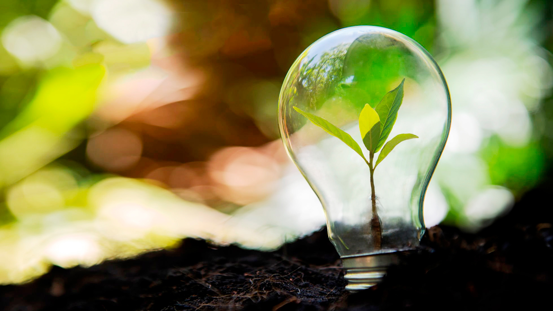 A Cogecom, cooperativa de energia, promove práticas sustentáveis por meio de inovações como sua plataforma avançada, que facilita o gerenciamento eficiente da geração de créditos de energia renovável.