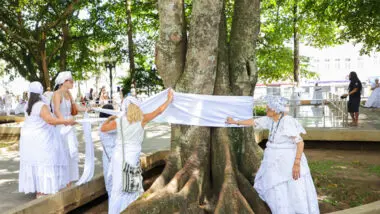 Gameleiras Praça Tiradentes patrimônio imaterial de Curitiba