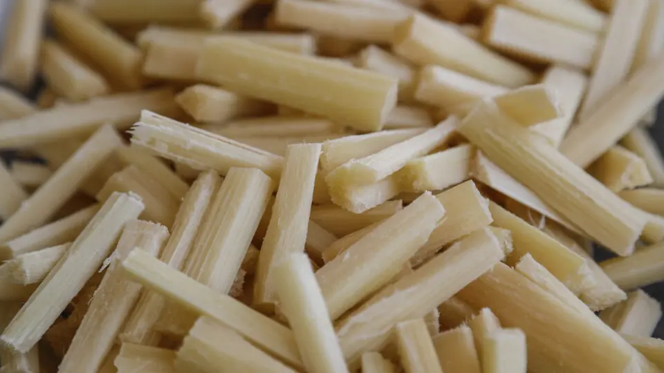 bagaços de cana-de-açúcar