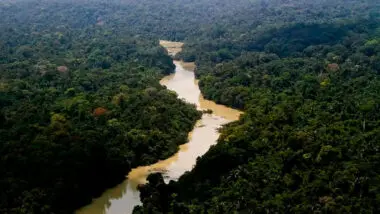 Licenciamento ambiental