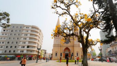 Novo prefeito aposta na revisão do Plano Diretor para revitalização da região central Imagem referente a matéria