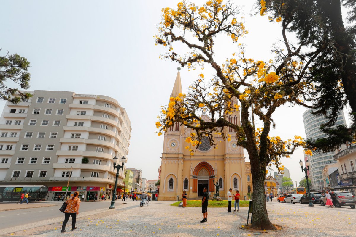 Novo prefeito aposta na revisão do Plano Diretor para revitalização da região central