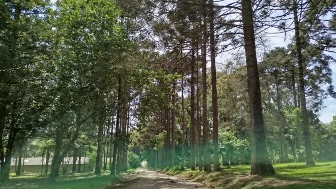 Mosteiro regra de São bento próximo de Curitiba