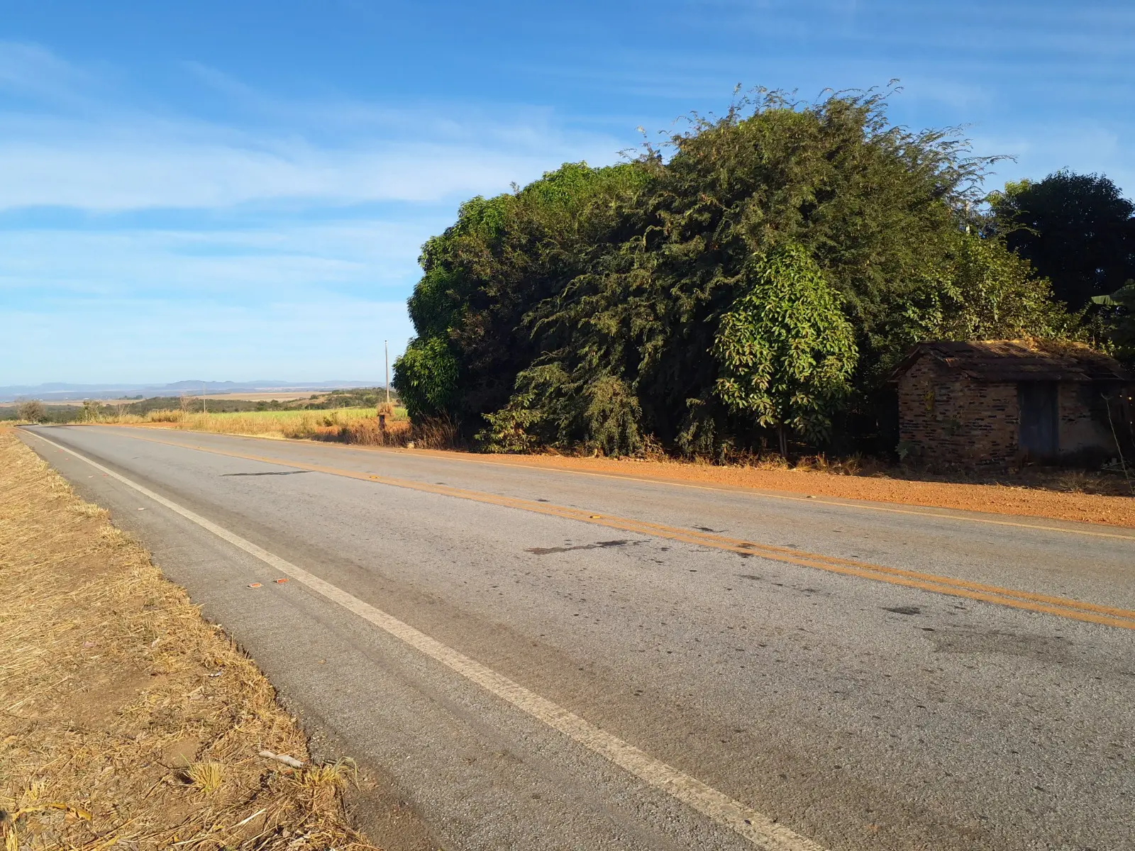 GO-237 é considerada "ruim" em geometria da via, interferindo na velocidade máxima da rodovia.