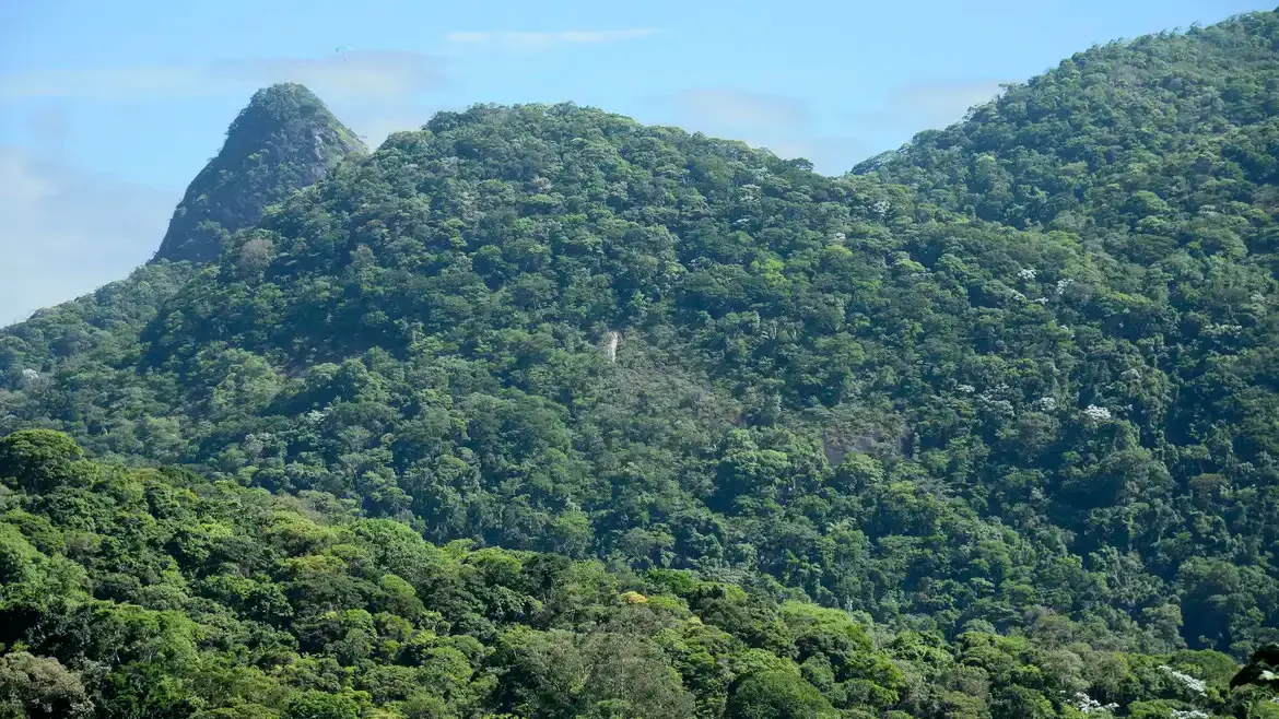 Licenciamento ambiental Paraná
