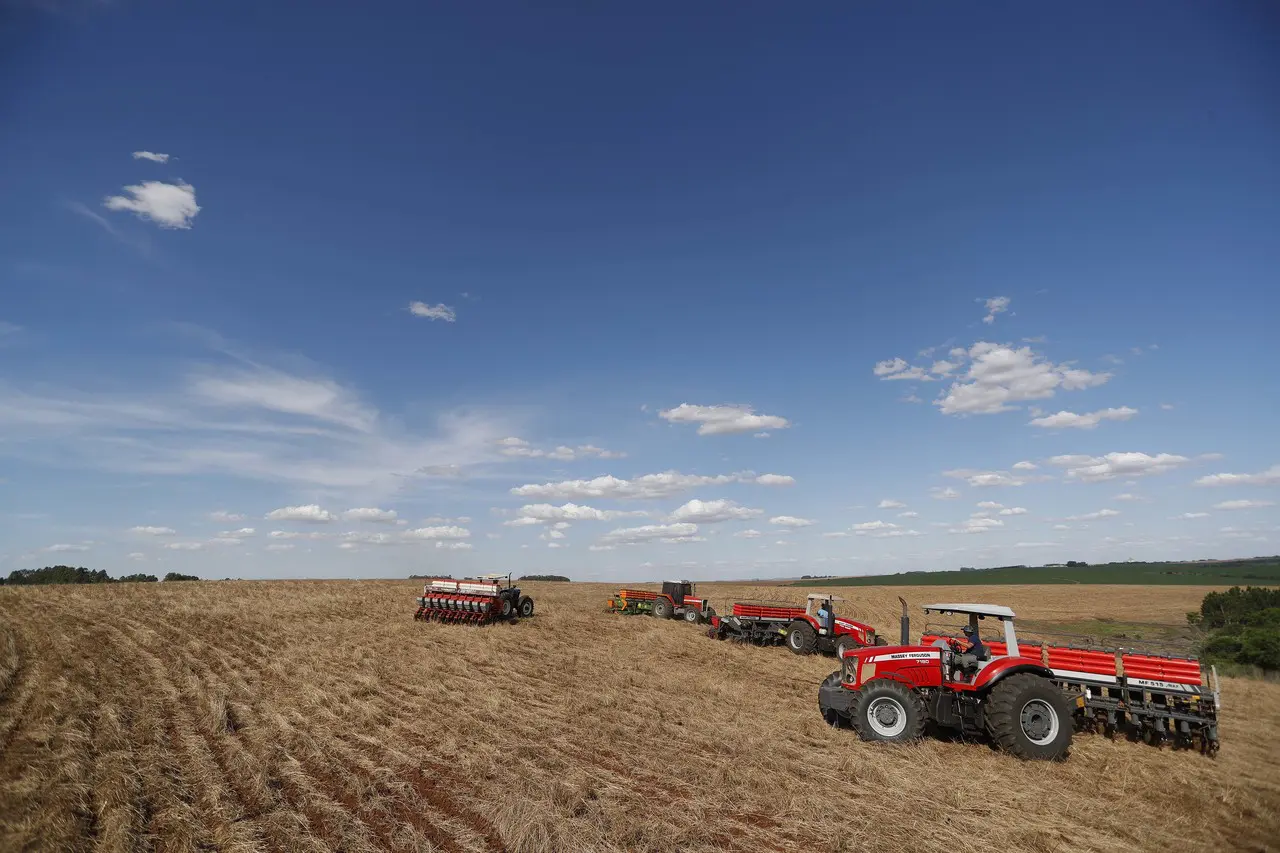 Plantio de soja em Cruz Alta (RS)