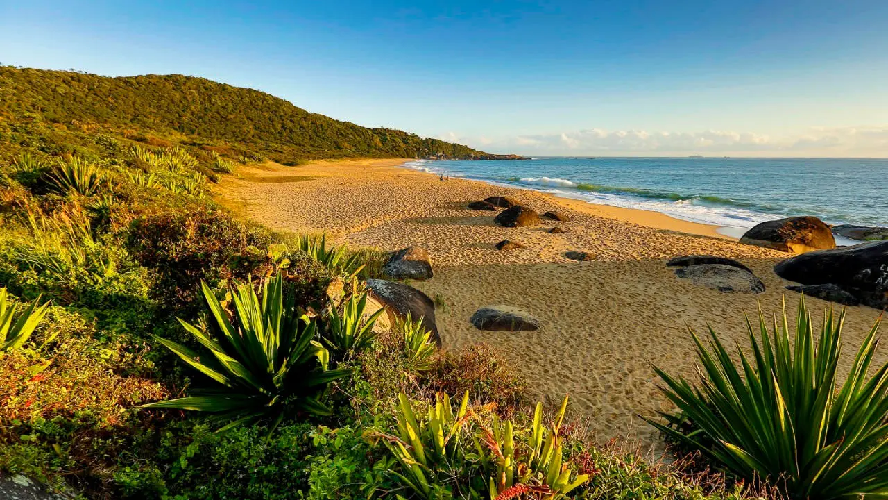balneário Camboriú taquarinhas