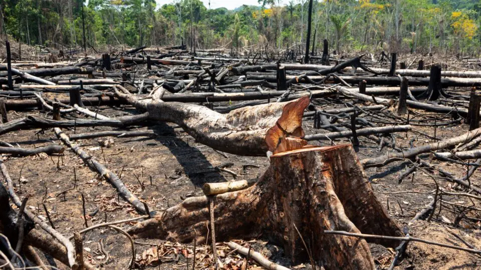A legislação ambiental brasileira traz rígidos critérios de fiscalização e punição para atividades empresariais que representam riscos ao meio ambiente