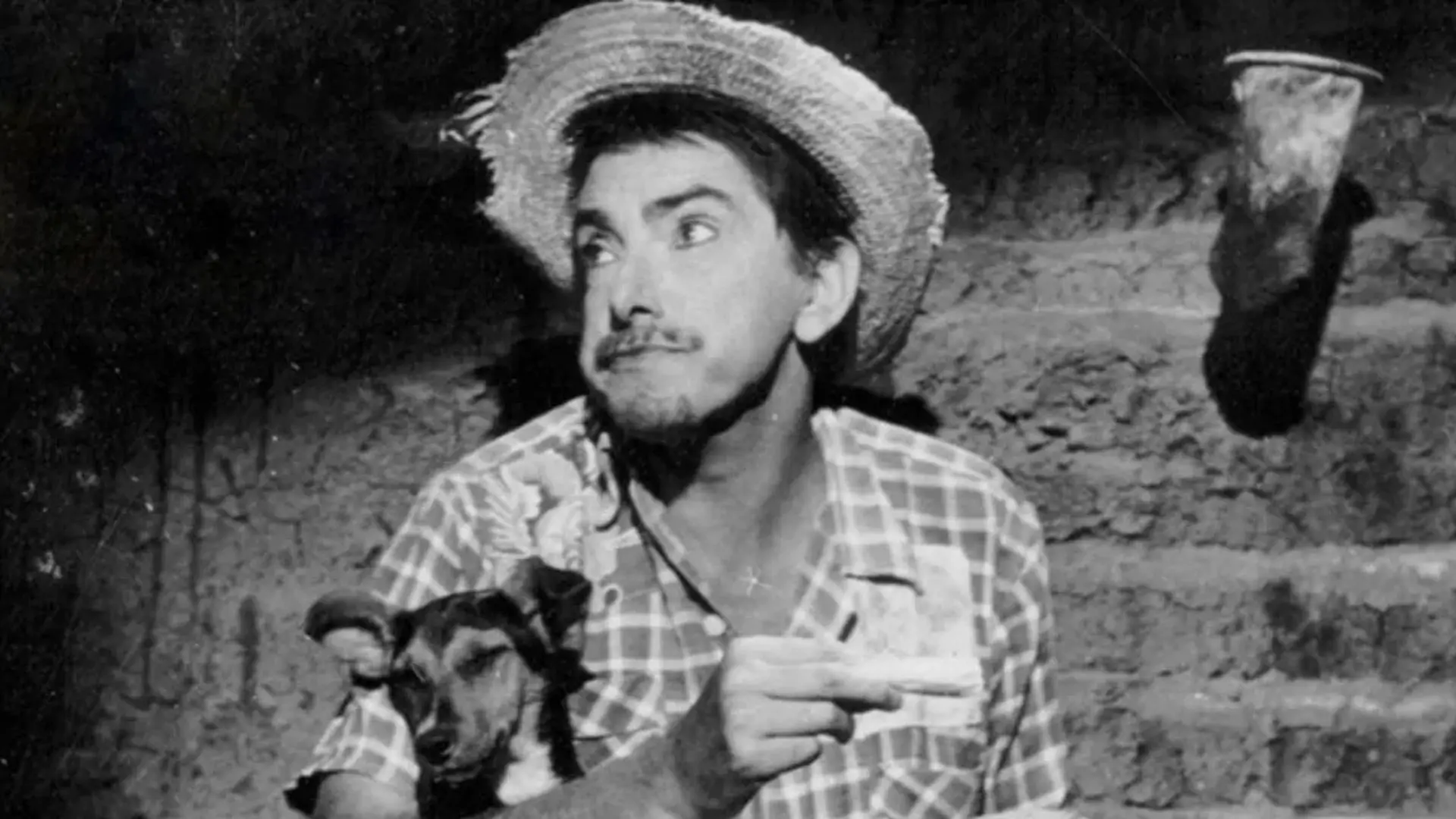 Mazzaropi produziu, escreveu, dirigiu e estrelou 32 filmes entre 1952 e 1980