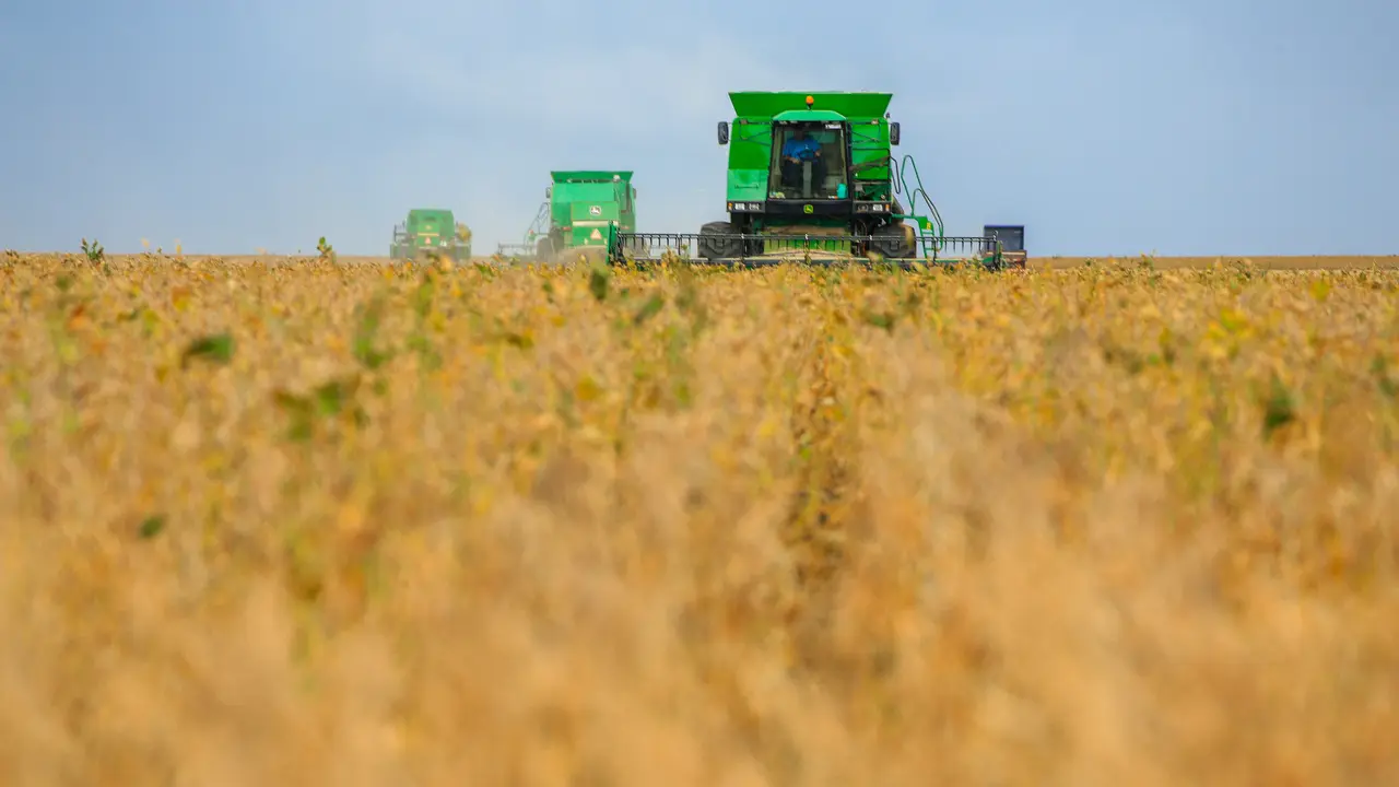 Profissões e cargos em alta em 2025