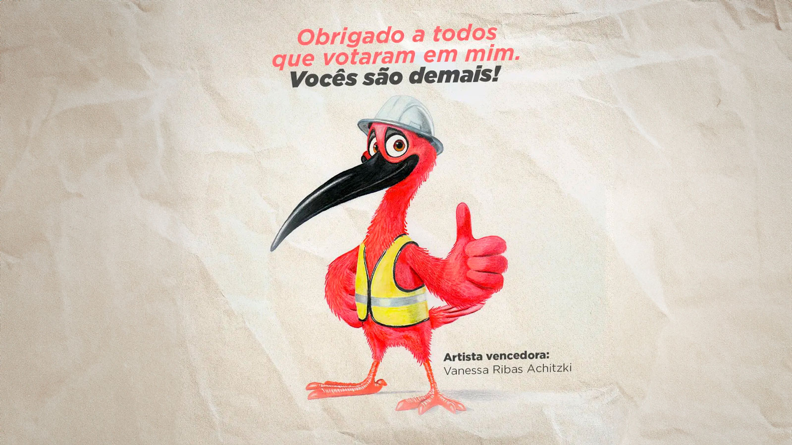 A mascote ainda não tem nome, que só será definido na próxima etapa do concurso cultural.