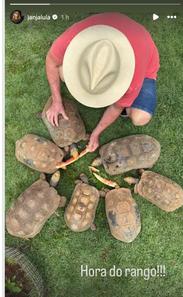 Janja compartilha foto