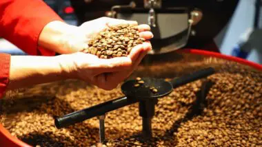 Disparada no preço do café assusta consumidor paranaense