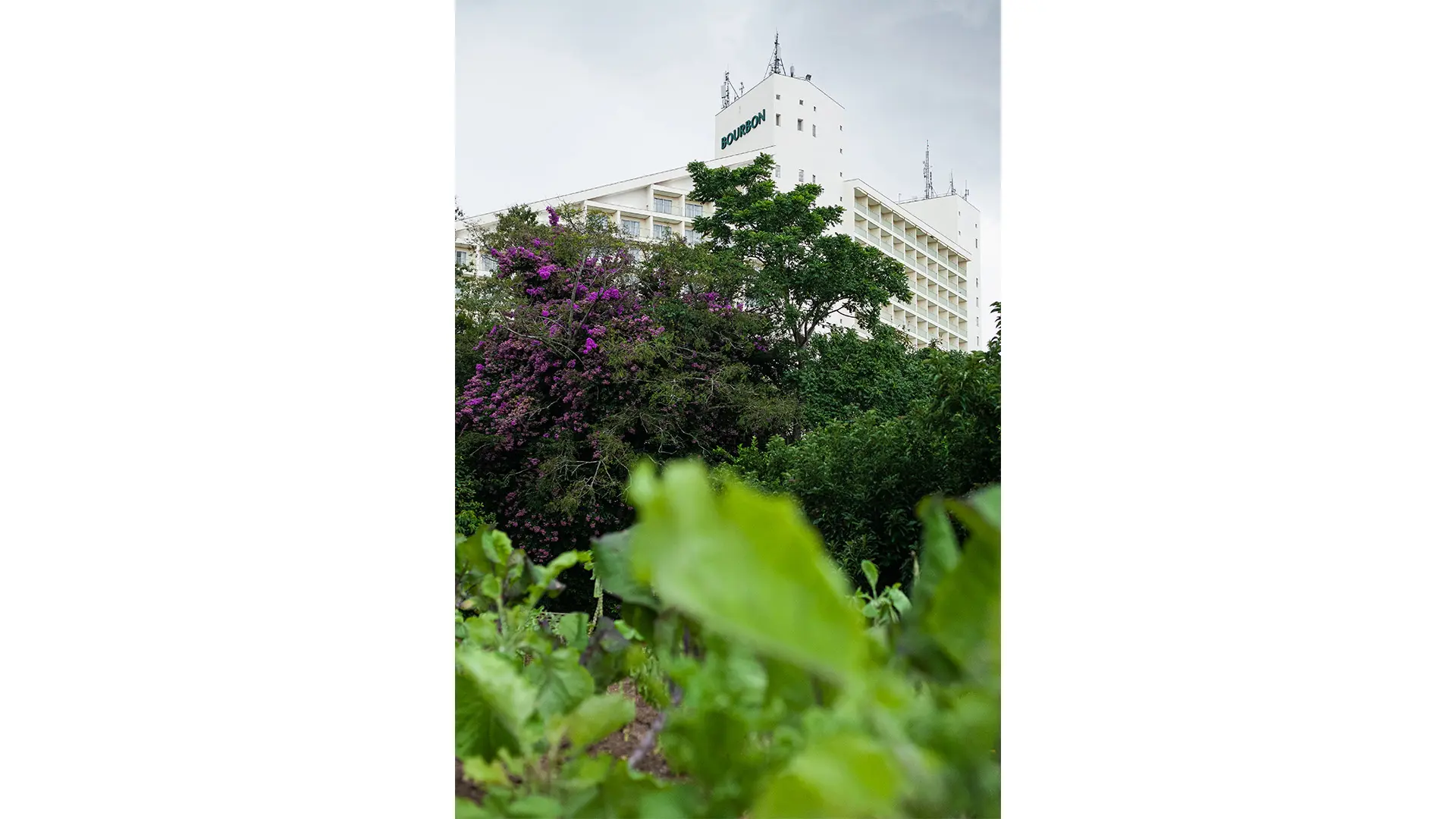 O Bourbon Resort Atibaia conta com uma horta e pomar orgânico que abastece a gastronomia local, garantindo a qualidade e o frescor dos ingredientes utilizados em seus pratos.