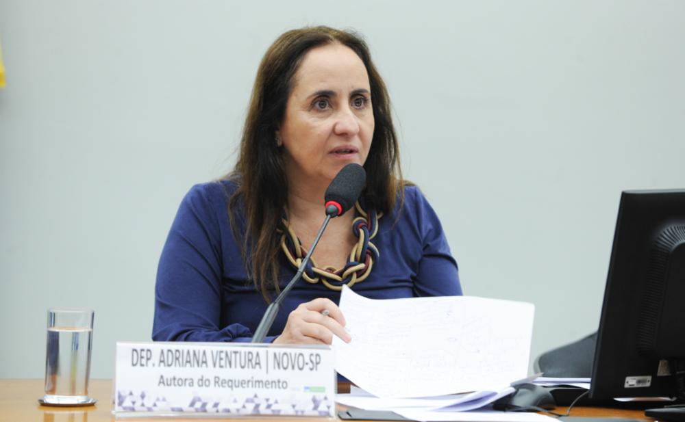 A deputada Adriana Ventura, do Novo-SP.