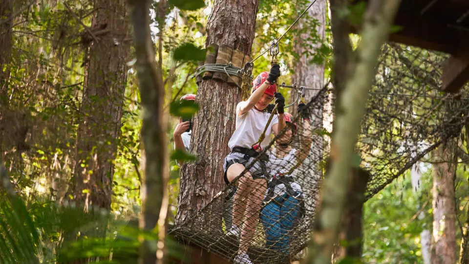 Adrenalina e conexão com a natureza no arborismo. Aventura para toda a família em meio ao verde