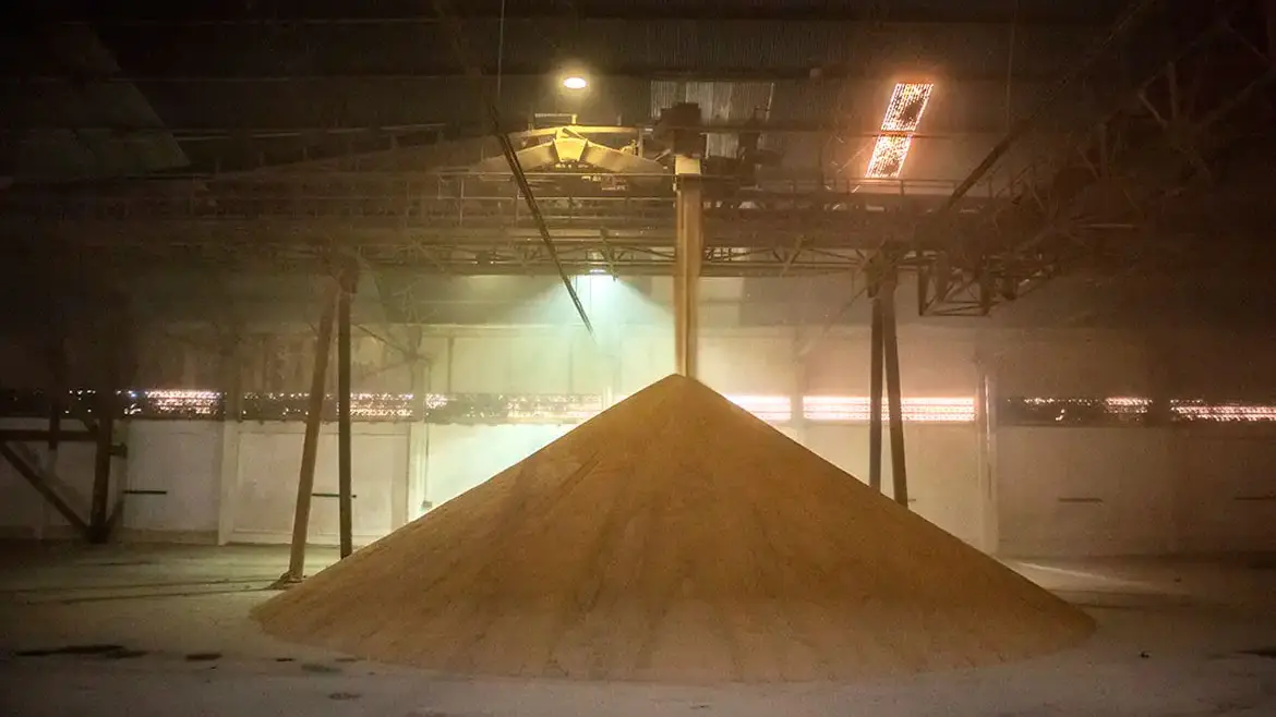 armazenamento safra soja