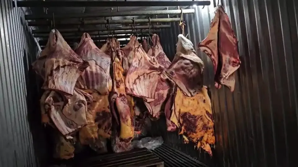 Carne podre
