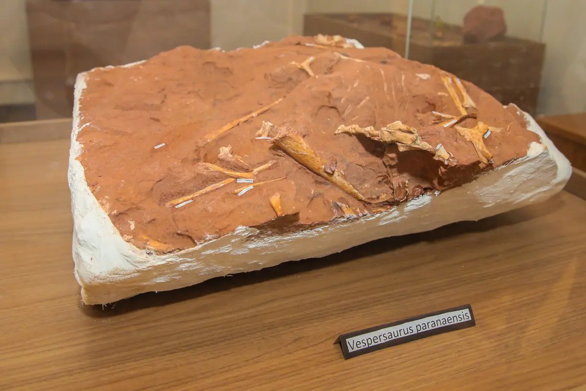 Dinossauro Cruzeiro do Oeste