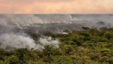 AGU cobra R$ 725 milhões de três acusados por incêndios no Pantanal