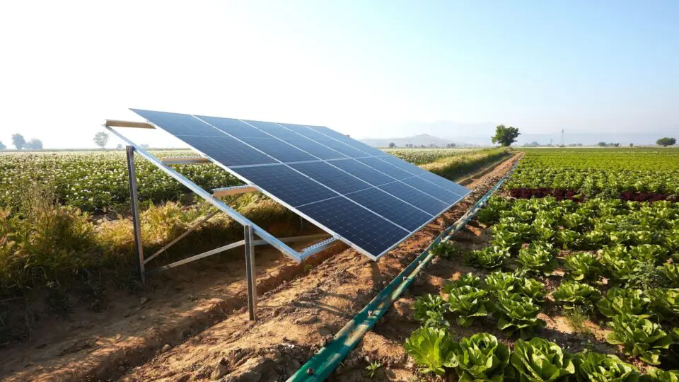 Com mais de duas décadas de atuação, o Grupo Electra é referência em soluções de energia para negócios em todo o país. S