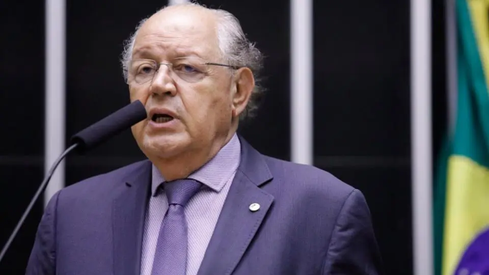semipresidencialismo, Congresso, deputado