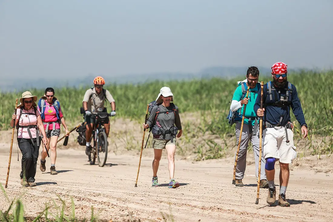 Canaviais Caminho do Sol